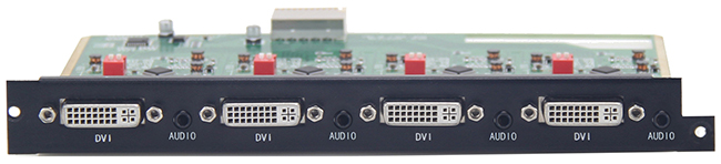 F-DVI4O